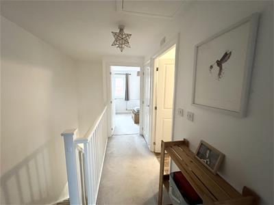 Picture 14